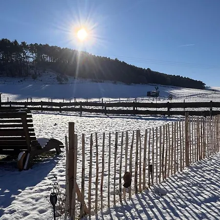 Eifelchalet Σπίτι διακοπών *