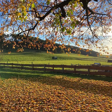 Eifelchalet * Niederehe