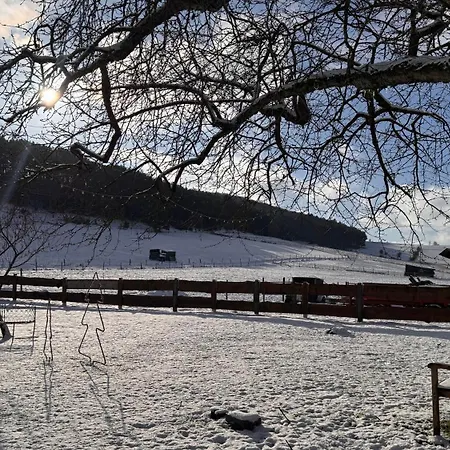 Eifelchalet Σπίτι διακοπών Niederehe