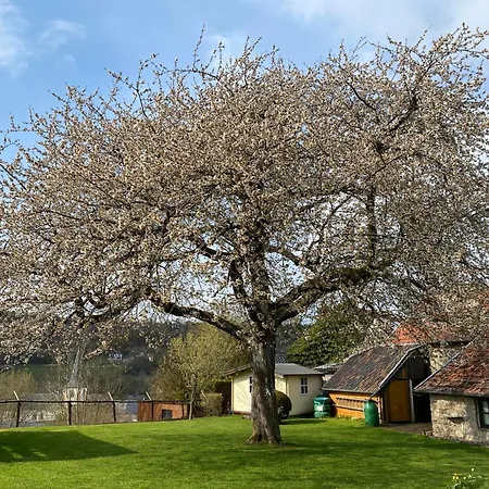 Eifelchalet 度假居 Niederehe