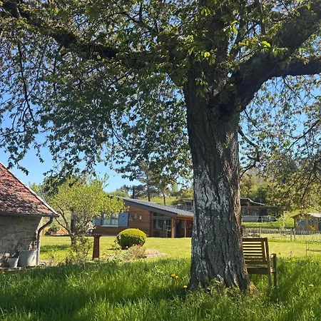 Eifelchalet Σπίτι διακοπών