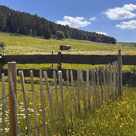 Eifelchalet Σπίτι διακοπών Niederehe