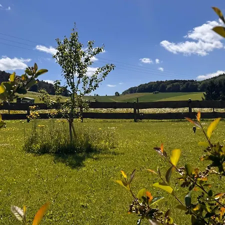 Eifelchalet * Niederehe