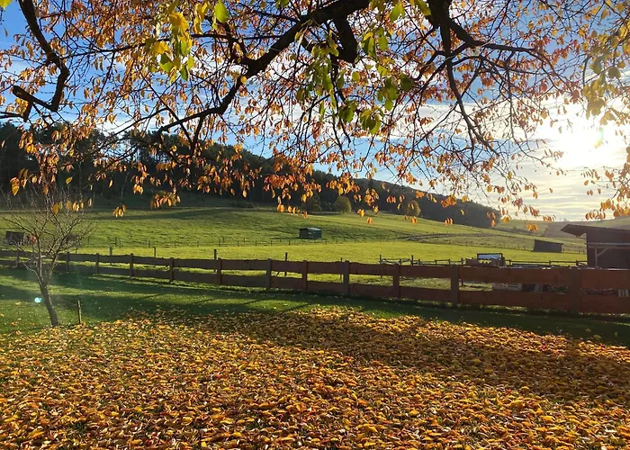 Eifelchalet * Niederehe