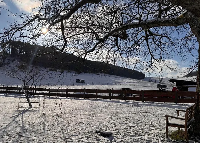 Eifelchalet Nyaraló Niederehe