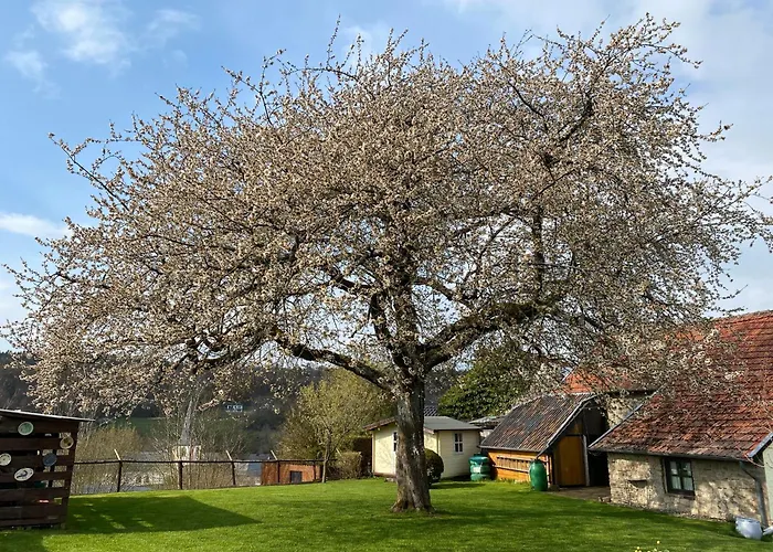Eifelchalet Nyaraló Niederehe