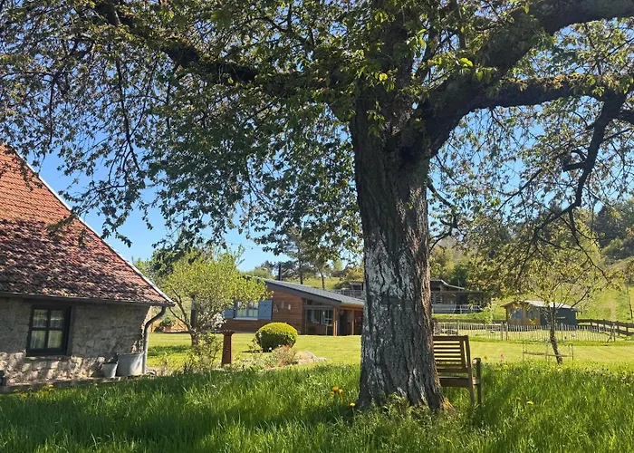 Eifelchalet Nyaraló