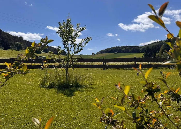 Eifelchalet * Niederehe