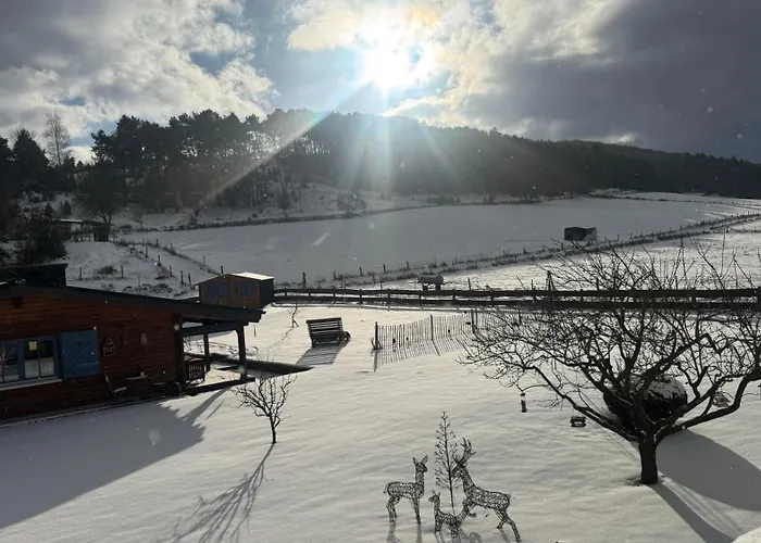 Nyaraló Eifelchalet